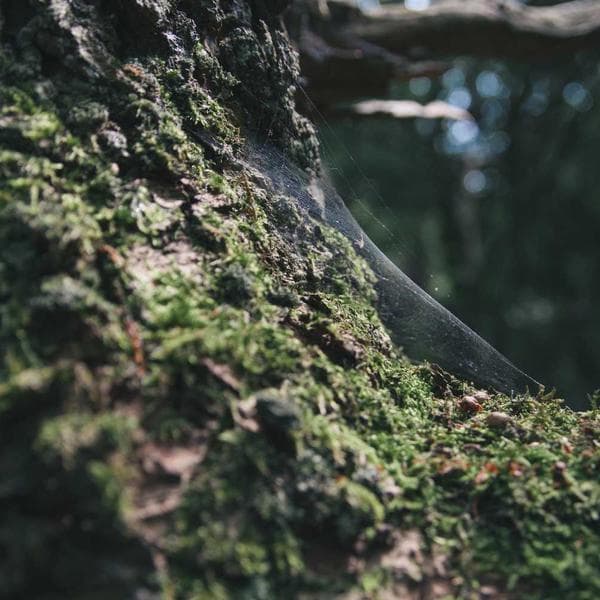 Çelik Kürek Düz Bıçak - 3