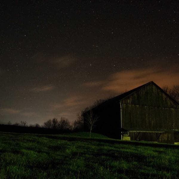 Royal Canin Indoor 2kg