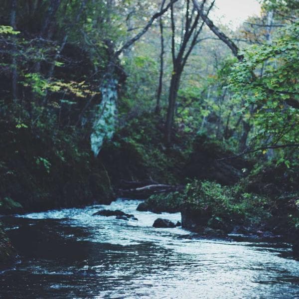 Kapı Menteşesi Pirinç 10'lu - 3