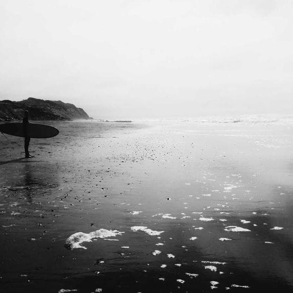 Konserve Fasulye 400g - 2