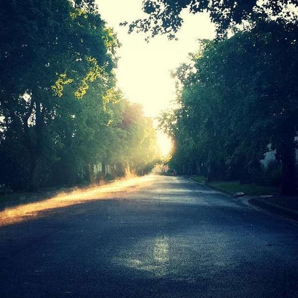 Oto Koltuk Koruyucu Seti - 2