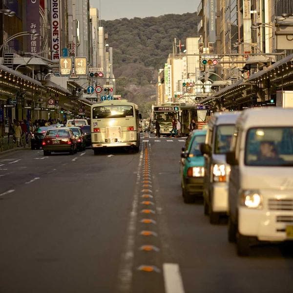 Bahçe Hortumu 50m Dayanıklı