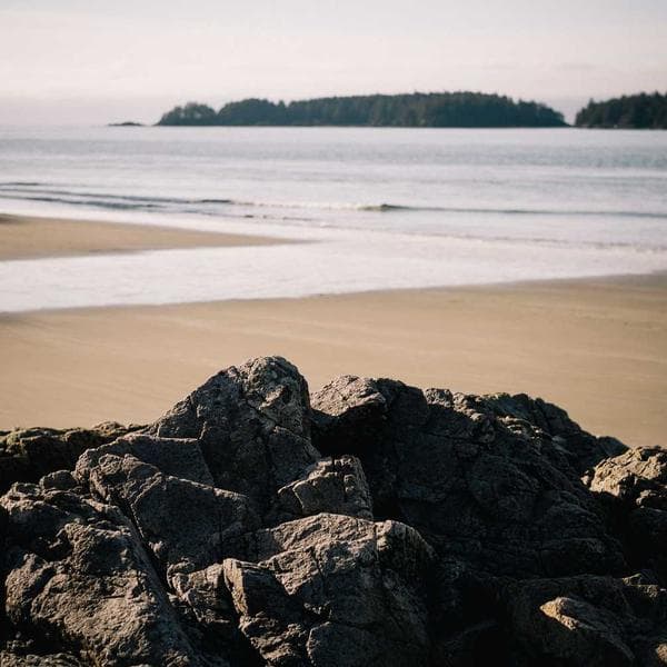 Profesyonel Alet Çantası - 2