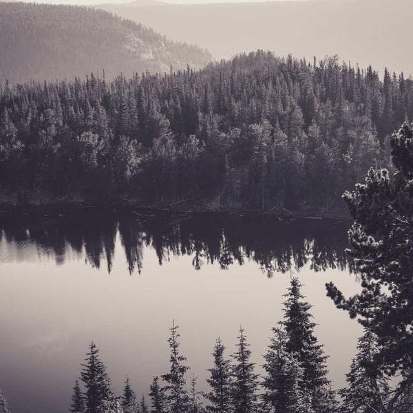 Siyah Oje Mat Finish 13ml - 3