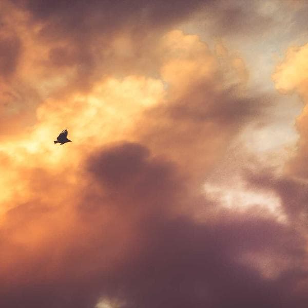 Vanilla Dondurma 500ml - 3