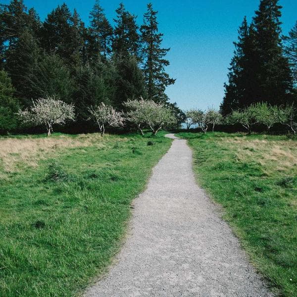 Marbling Kumaş Boyama Seti - 3