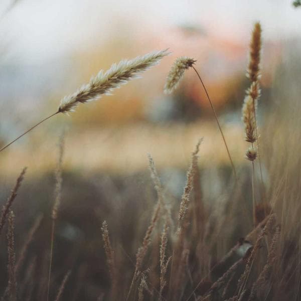 Beyaz Gümrük El Çantası