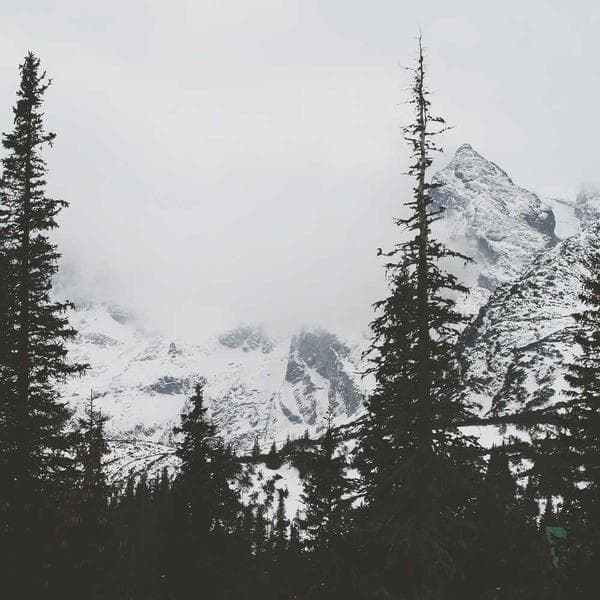 Uyku Tulumu -5°C - 1