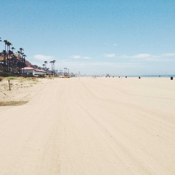 Ayı Baskılı Kız Çocuk Pijama