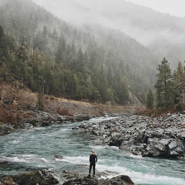 Levi's 501 Klasik Jean - 2