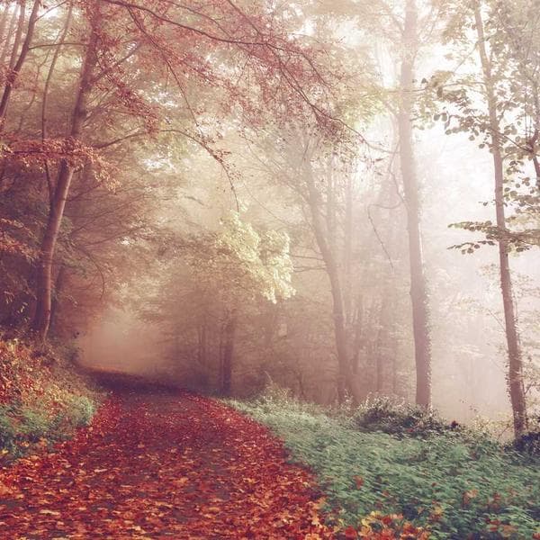 Gri Ticari Takım - 2