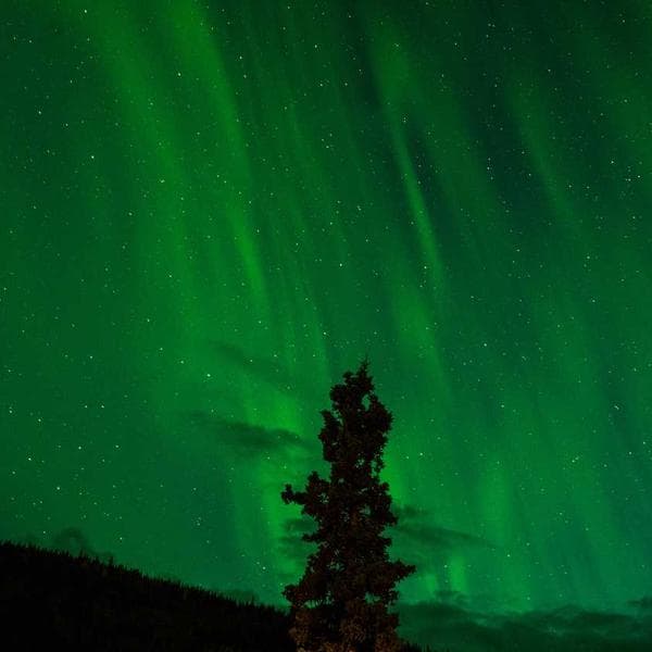 Wyze Cam v3 Wireless Kamera