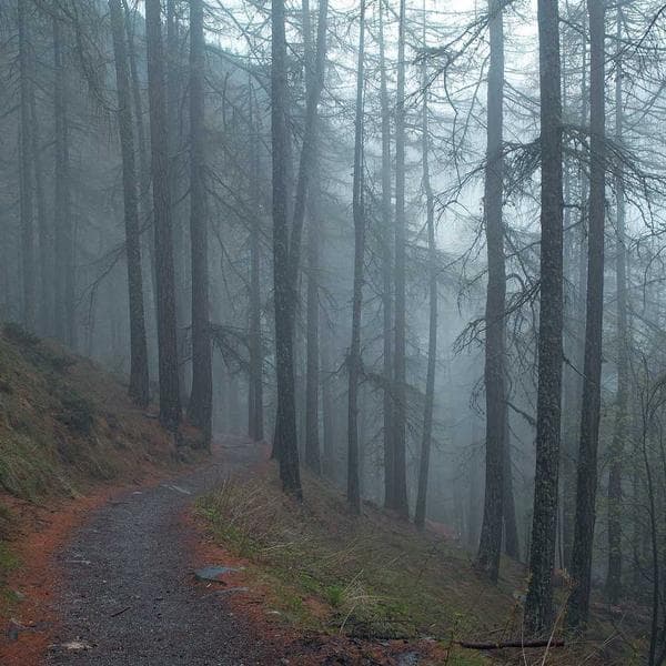 Hologram Oje Gökkuşak 13ml