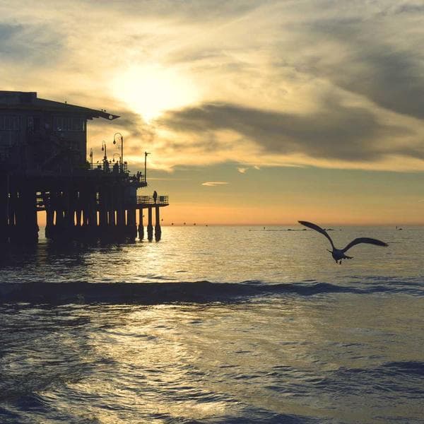 Pamuklu Pijama Takımı - 2