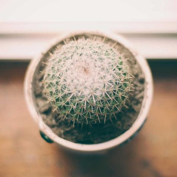 Siyah Streç Kadın Pantolon - 2