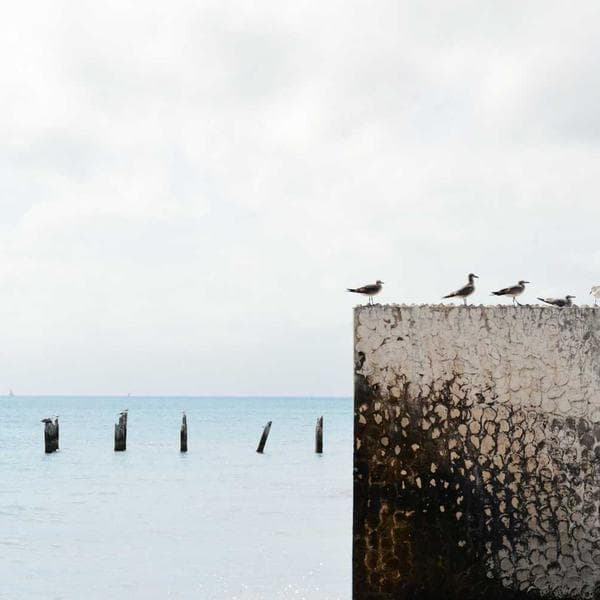 Chronograph Erkek Saati - 1