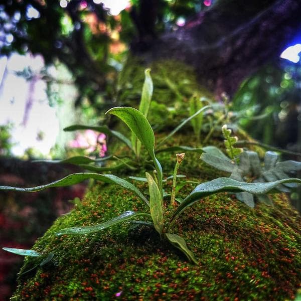 Siyah Metallık Kadın Loafer - 3