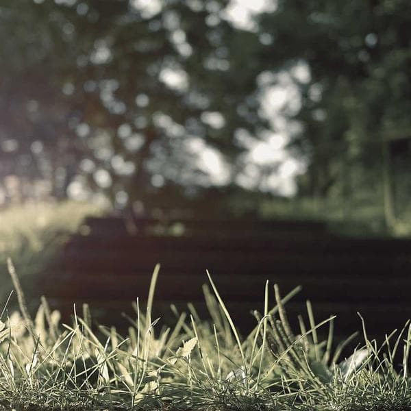 Jogger Çocuk Pantolonu - 3