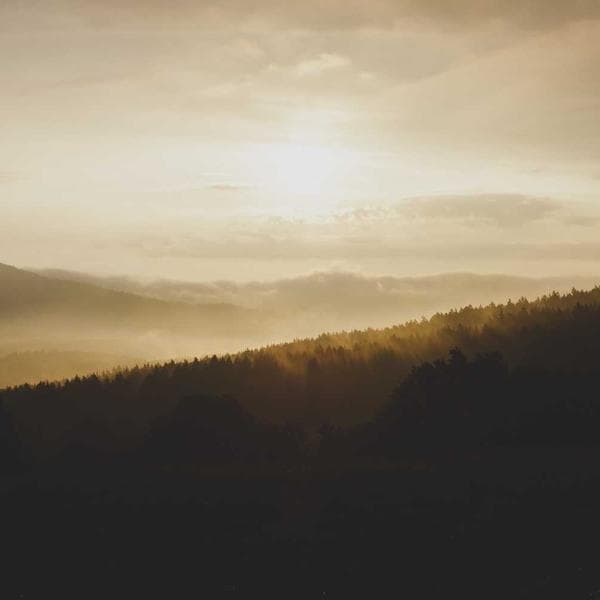 Tatlı Fındık Enerji Bar - 1