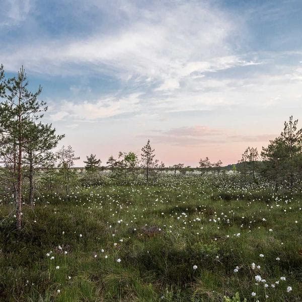 Çikolata Dondurma 500ml - 2