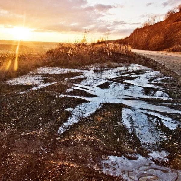 Tripod Projeksiyon Perdesi 180cm - 2