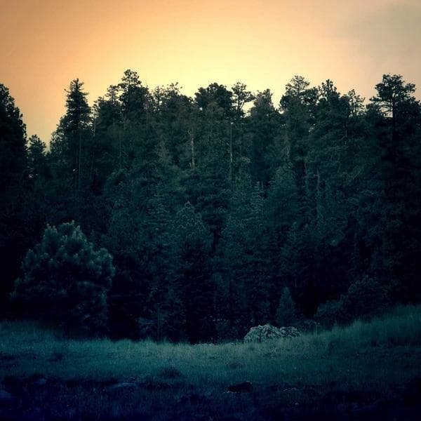 Direksiyon Kılıfı Deri - 2