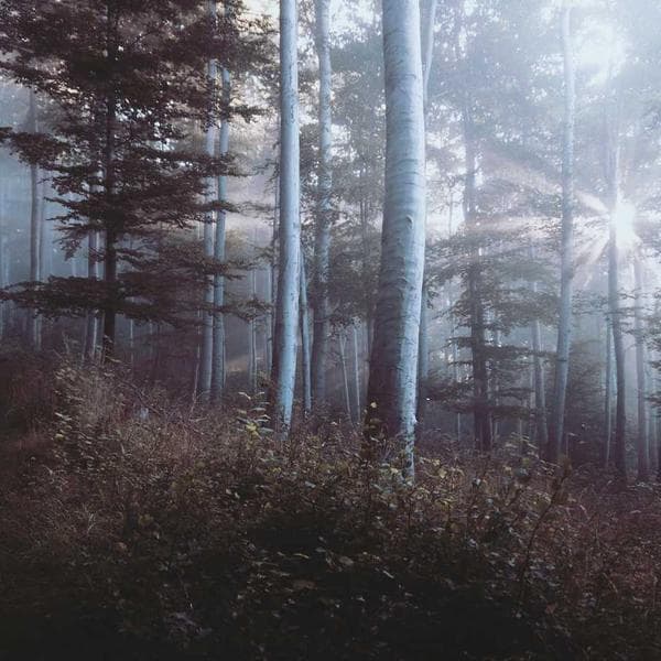 Xiaomi Mi 3 Ultra 10000mAh - 2