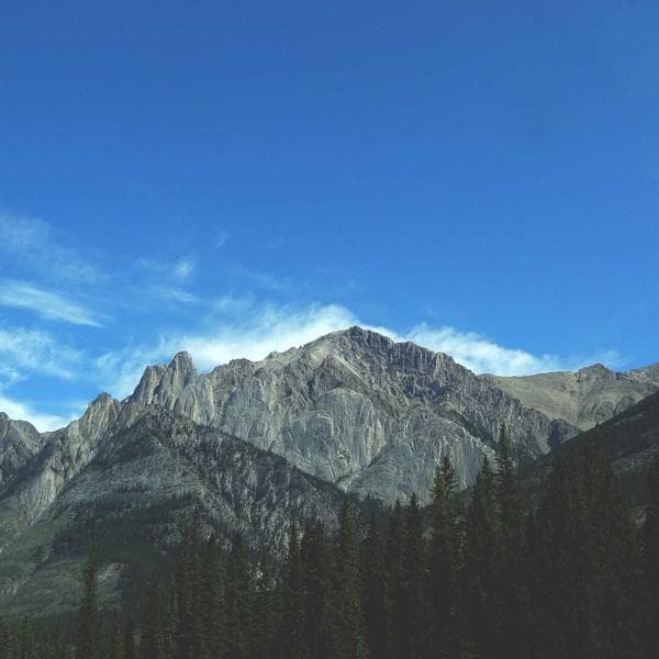 Syoss Color Protect Serum - 2