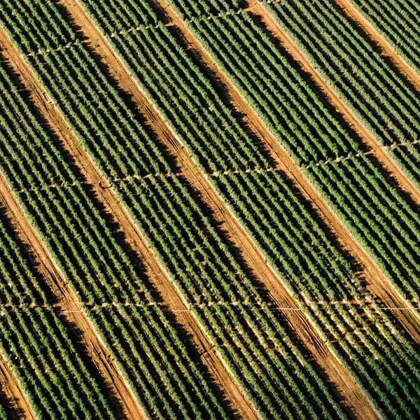 Mavi Kot Kadın Pantolon