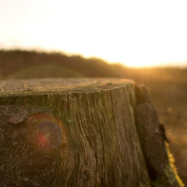 Enerji Barı Çikolatalı - 2