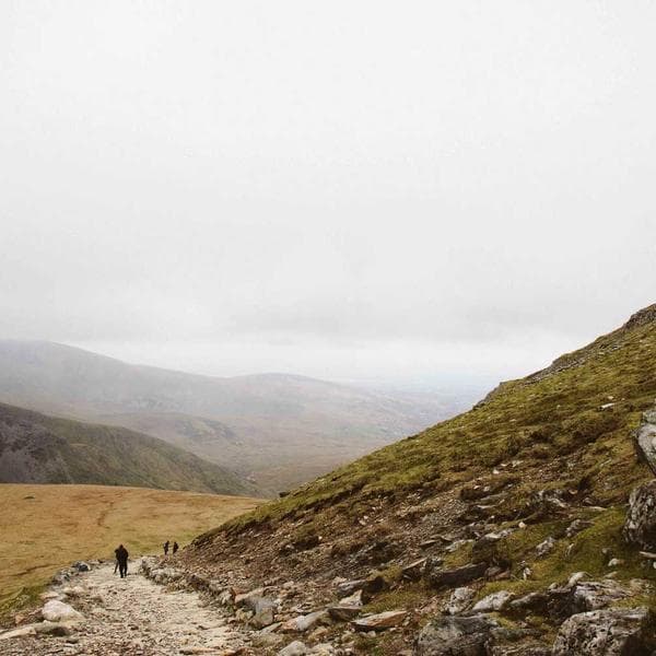 Şeffaf Vazolar Seti 3'lü - 2