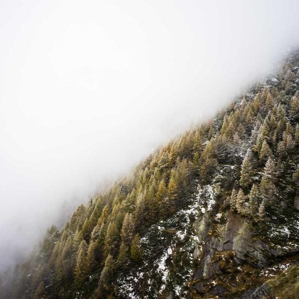 Allık Pudra Bej - 2