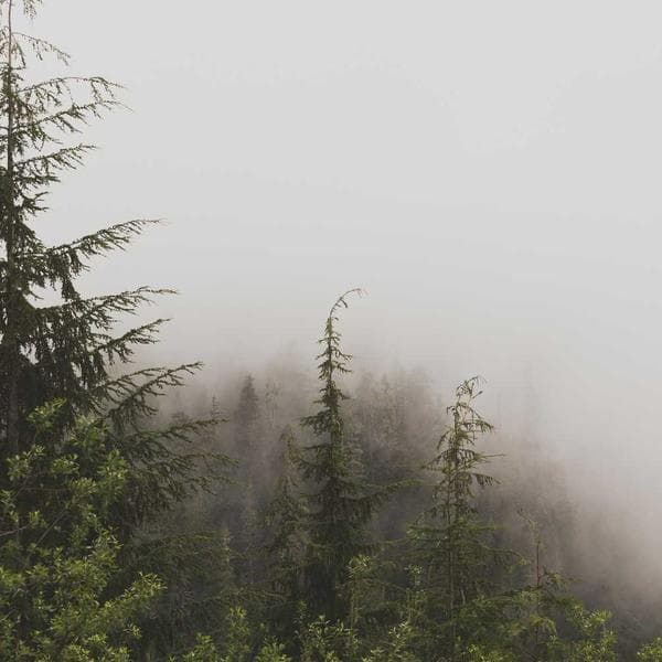 Plastik Su Şişesi 1L