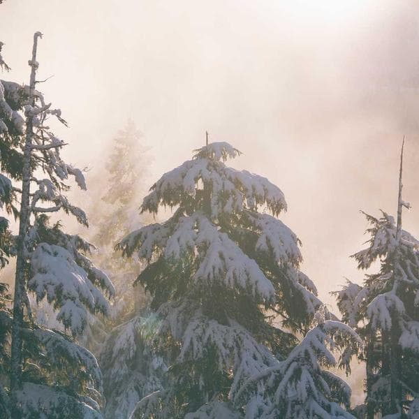 Gri Ofis Kadın Pantalonu - 1