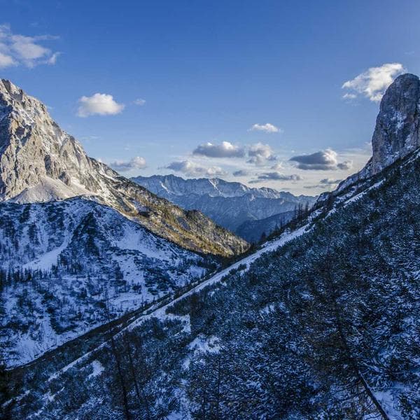 Dikey Buharlı Ütü - 3