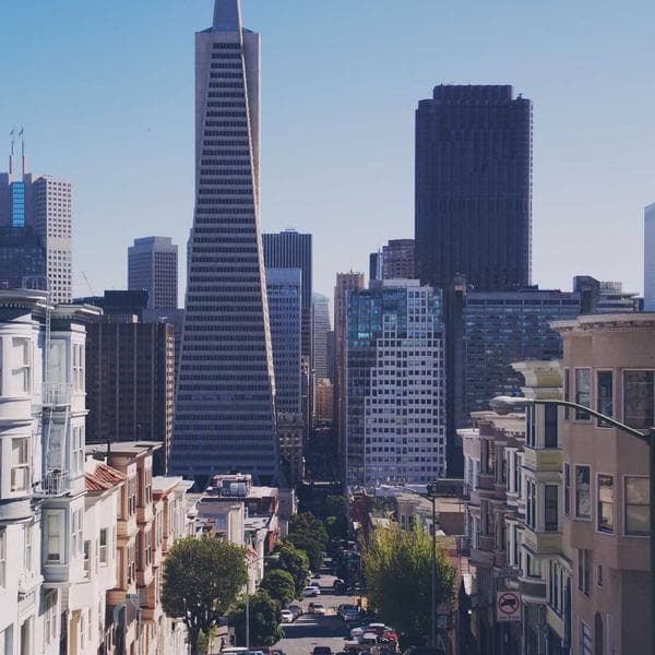 Araba Paspası Seti - 3