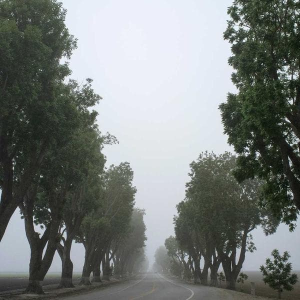 E-Kitap Reader Pro - 3