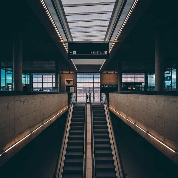 Kemirici Kafesi Çiftli - 3