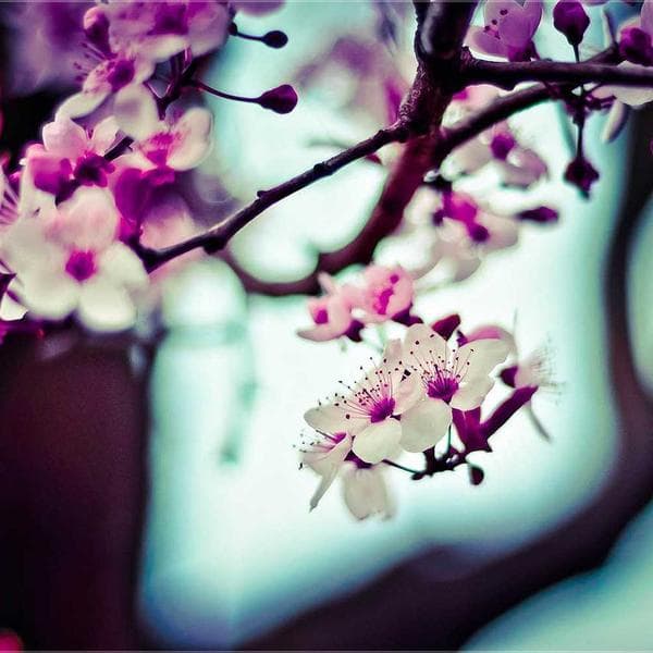 Voleybol Dirsekliği Set - 3