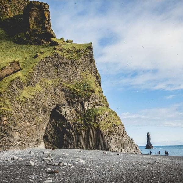 Ayı Baskılı Kız Çocuk Pijama - 3