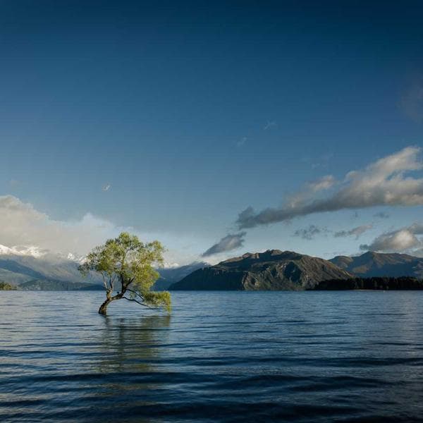 Gri Fonksiyonel Seyahat Çantası - 3