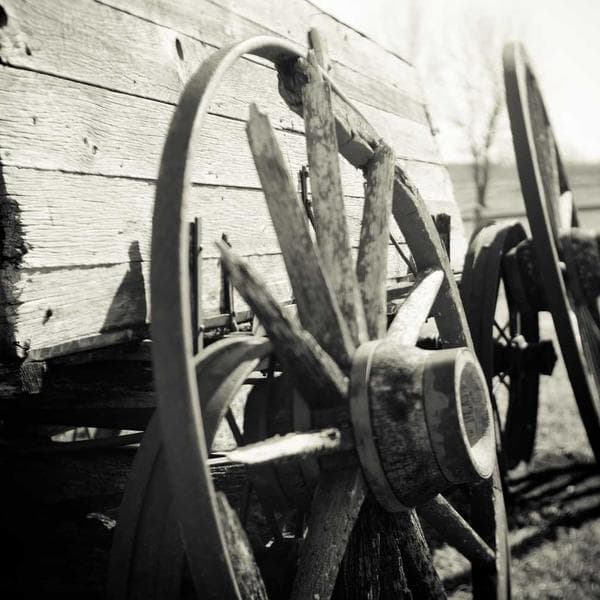 Florlu Diş Macunu 75ml - 2