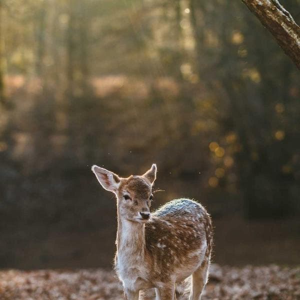 Telefon Tutucu Hava Çıkışı - 2