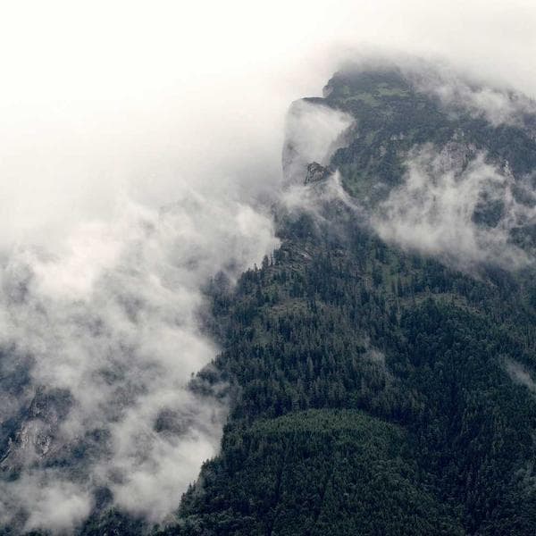 Polar Erkek Pijama Seti - 3