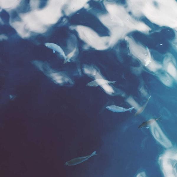 Yüksek Protein Yoğurt - 3