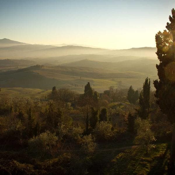 Araç Işığı LED COB - 2