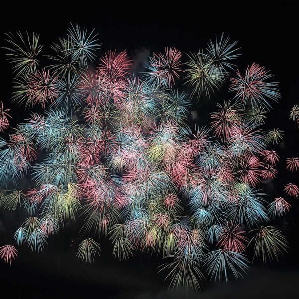 Köpek Kuru Mamasi 15kg