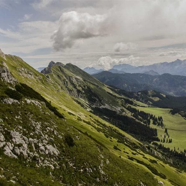 Çocuk Tişörtü Seti - 2