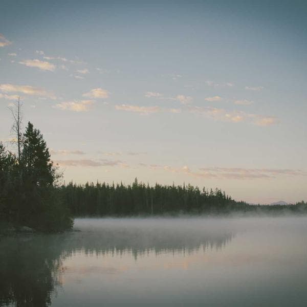 Günlük T-Shirt - 2