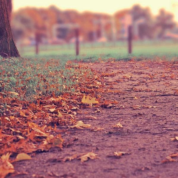 Kahverengi Hafif Valiz - 3